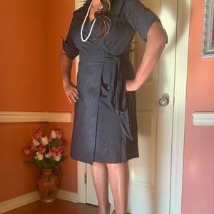 Ann Taylor LOFT Dress